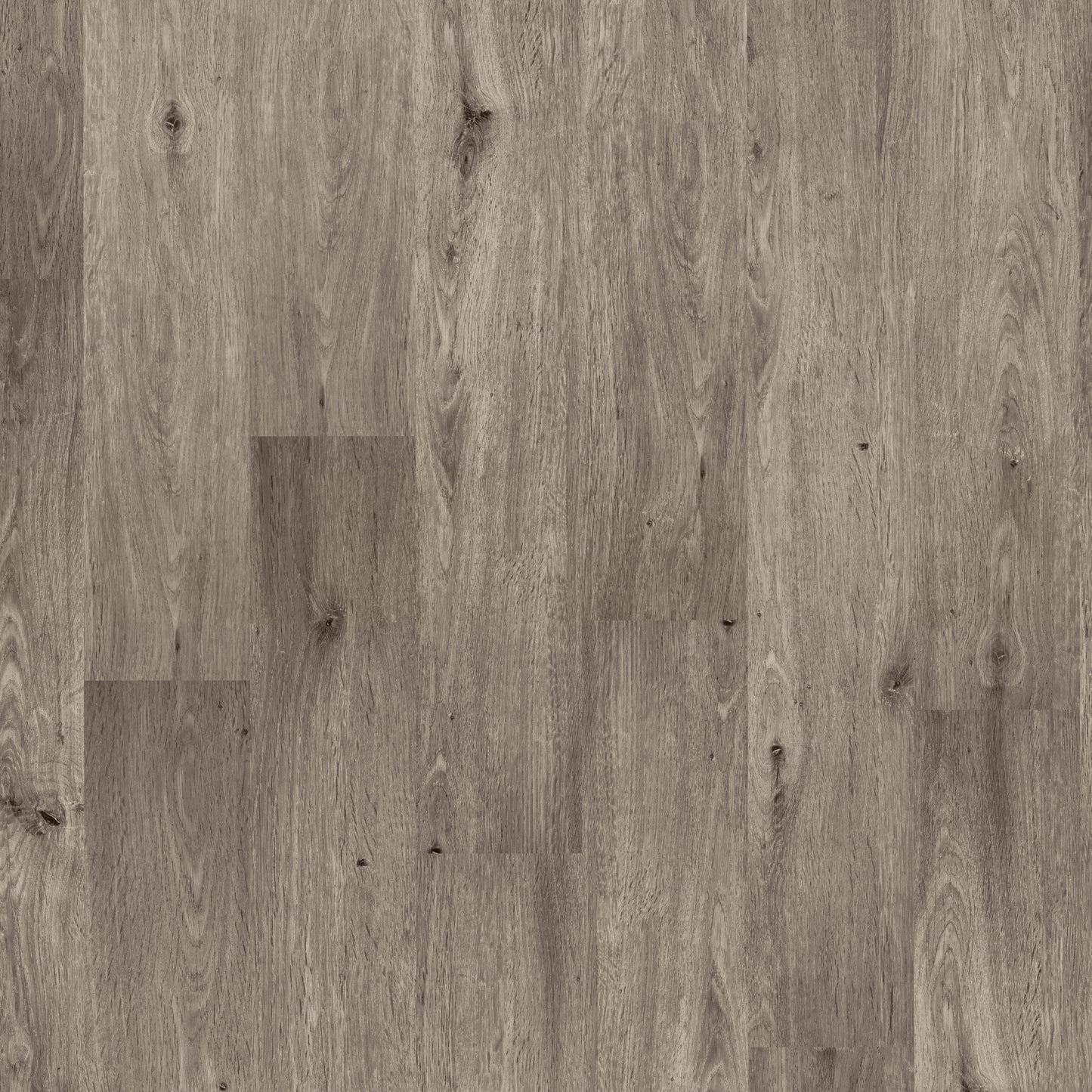 Hollow Oak Wood Design Flooring - W by Woodpecker